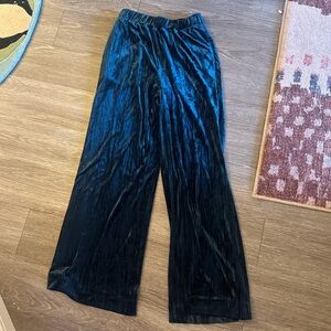 AG velvet pants deep green/blue